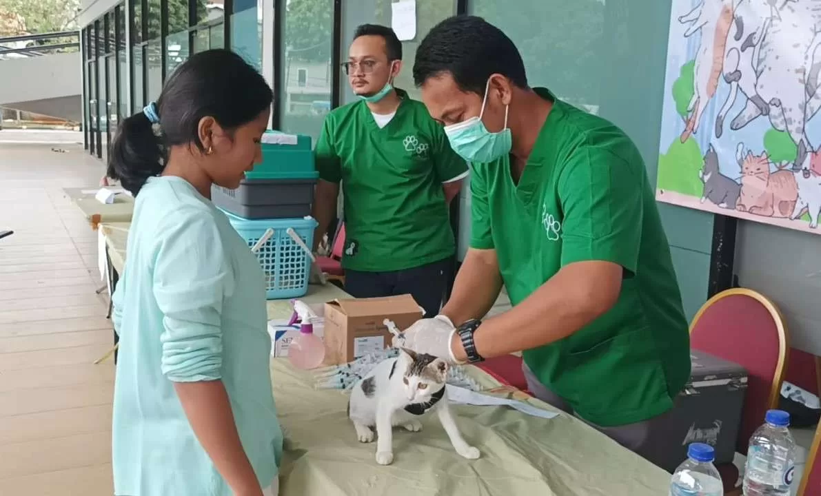 Tenaga medis sedang menyuntikkan vaksin antirabies kepada kucing peliharaan. 500 kucing jantan mengikuti kegiatan bakti sosial steril kucing jantan dan vaksinasi antirabies untuk wilayah DKI Jakarta, di gedung Gelanggang Remaja Pulogadung di Kawasan Rawamangun, Jakarta Timur. (ist)