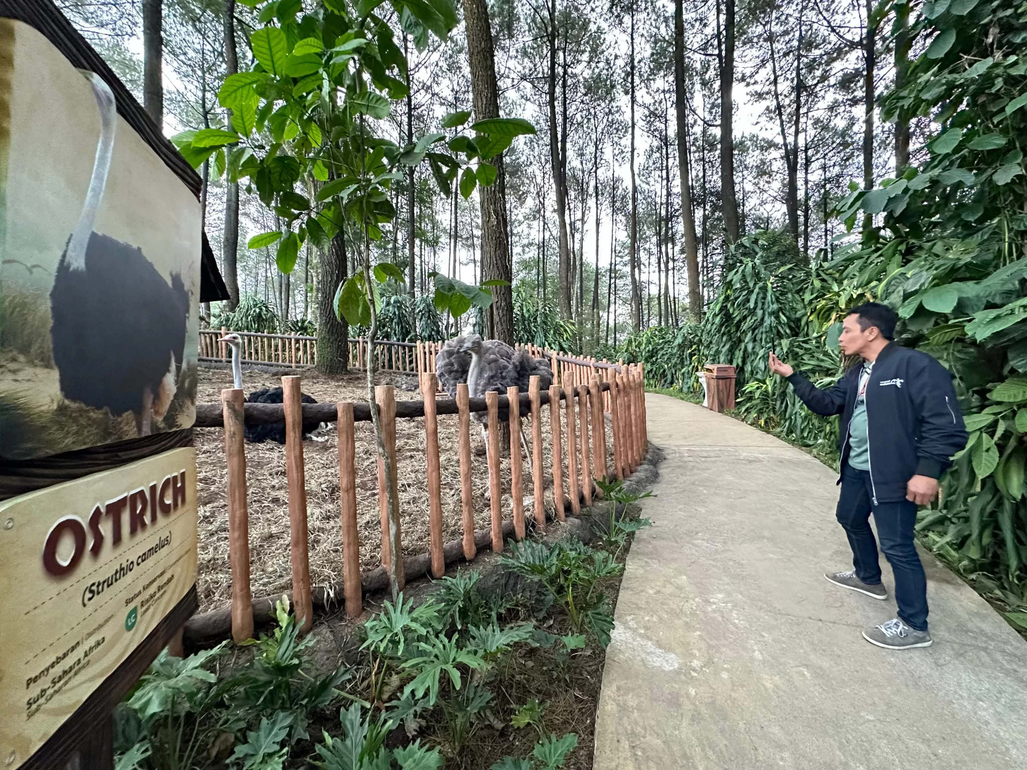 pengunjung saat menikmati tempat Enchanting Forest dan menyapa hewan jinak. (BM)