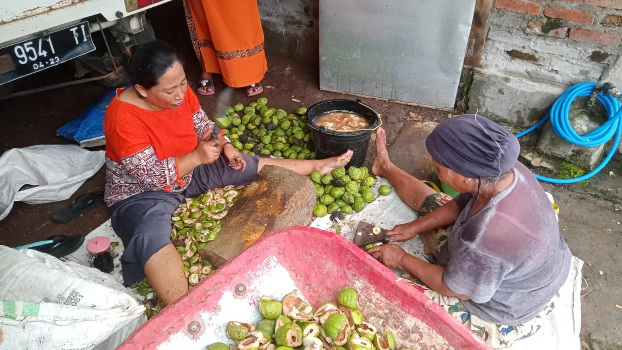 suasana warga saat mengupas buah gayam untuk dijadikan kripik (BM)