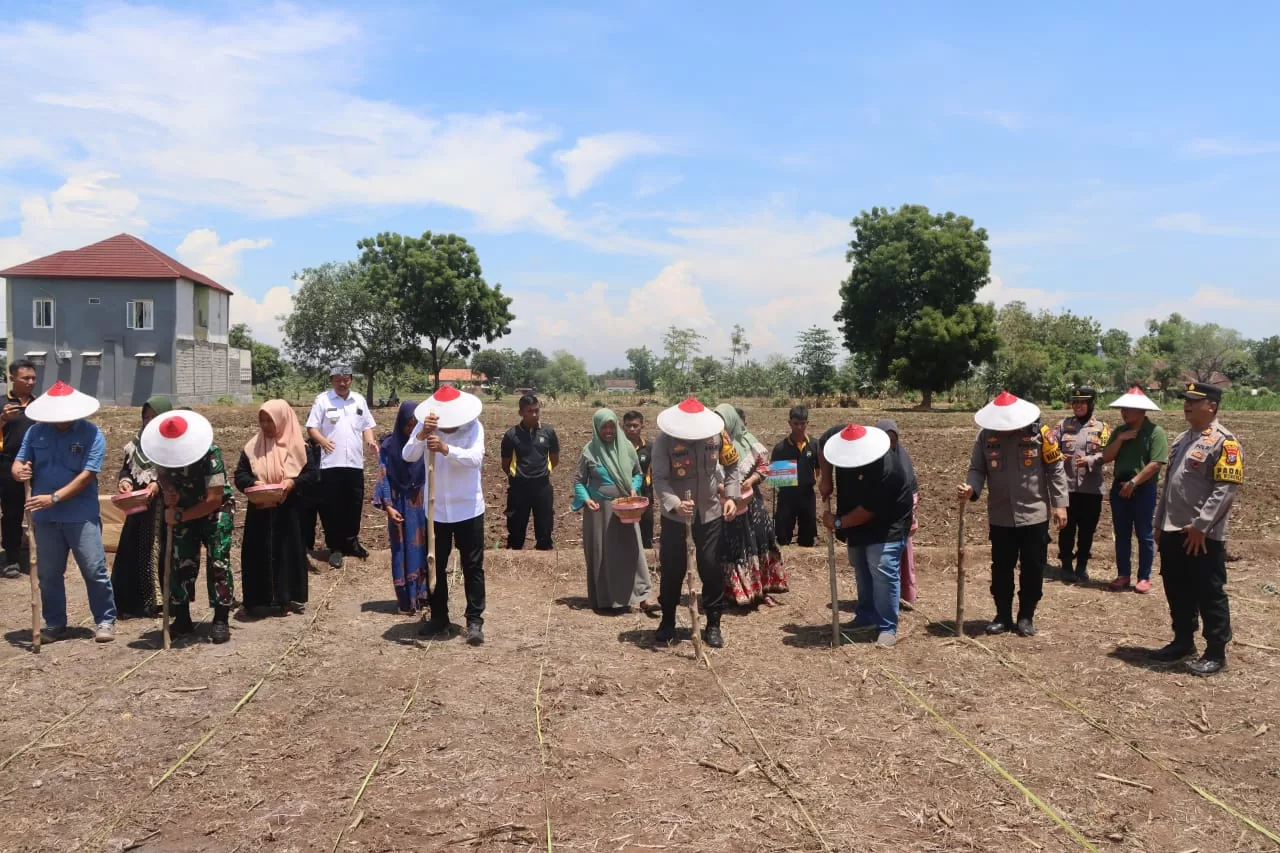 Kapolres Pasuruan bersama tamu undangan melakukan penanaman bibit jagung di Desa karangsono (hms for Bacaind)