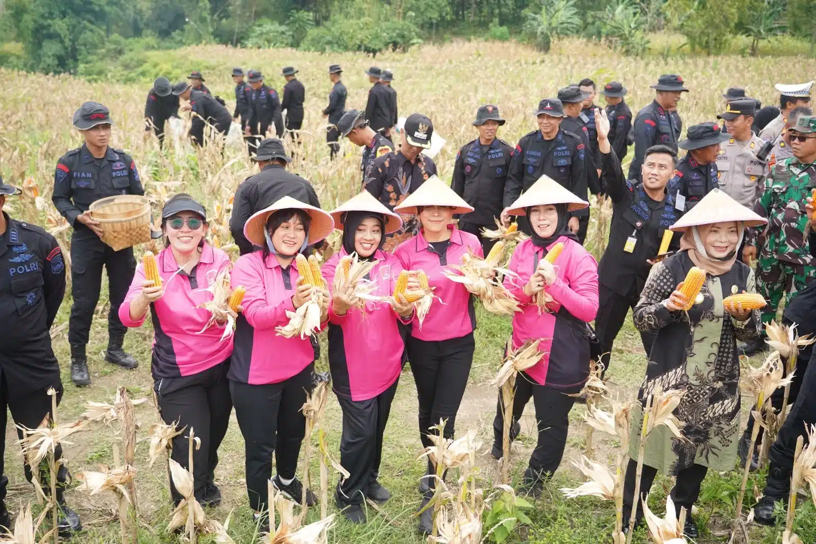 Brimob Polda Jateng Panen Raya jagung 9 ton di lahan seluas 2 hektar di Sragen. (Hms)