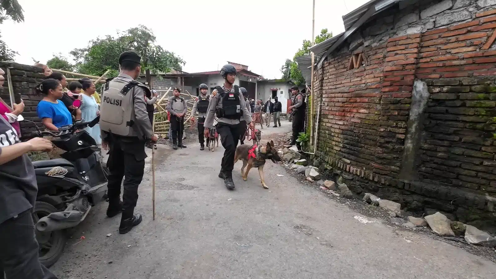 Polisi kerahkan anjing pelacak khusus K9 di Kampung Narkoba, Lombok Tengah. (Hms)