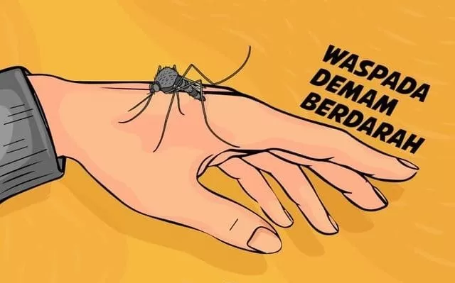 Waspada Demam Berdarah. (Ils)