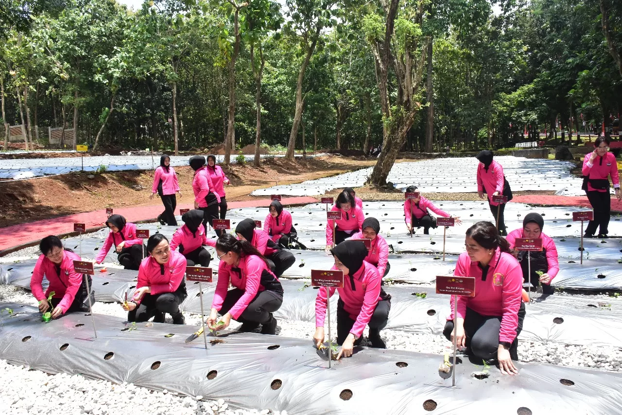 peluncuran Program Pekarangan Pangan Lestari (P2L) di Akademi Kepolisian (Akpol) Semarang.