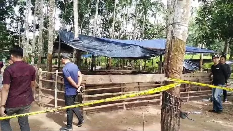 Tempat kejadian perkara (TKP) tewasnya 3 anggota Polres Way Kanan tertembak saat menggrebek judi saabung ayam di Kampung Karang Manik, Kecamatan Negara Batin.(Ist)