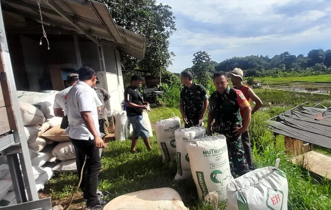 TNI Kawal Penyerapan Gabah