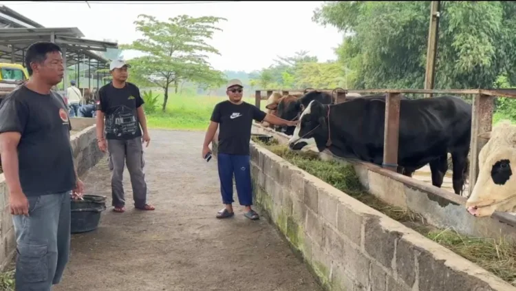 Herza Farm Pasuruan