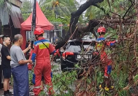 Diterjang Angin Kencang, Dua Pohon Tumbang di Jakarta Timpa Mobil dan Rumah Warga