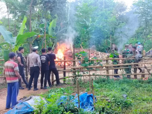 Suasana tempat arena judi sabung ayam di bakar (BM)