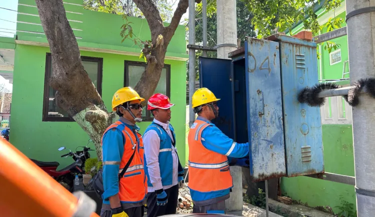 Ribuan Pelari Meriahkan Adfun to Race 'Magical Wild' 2025 di Kebun Raya Purwodadi 1 PLN UP3 Pasuruan Sukses Dukung Peresmian Ribuan Koperasi Desa Merah Putih