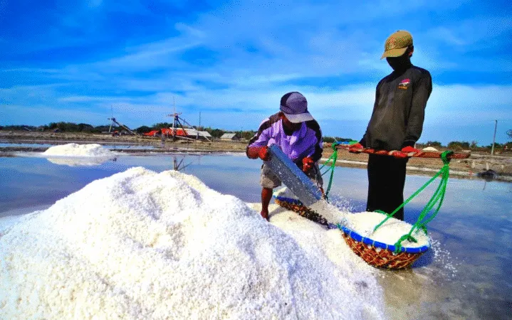 Cuaca Tak Menentu, Produksi Garam di Pasuruan Terancam Gagal