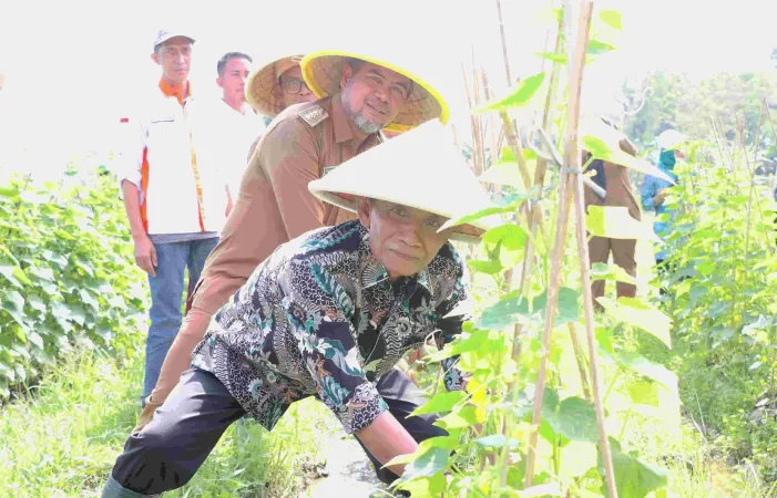 Pemdes Sukadami Luncurkan Program Ketahanan Pangan Lewat BUMDes Maniloka