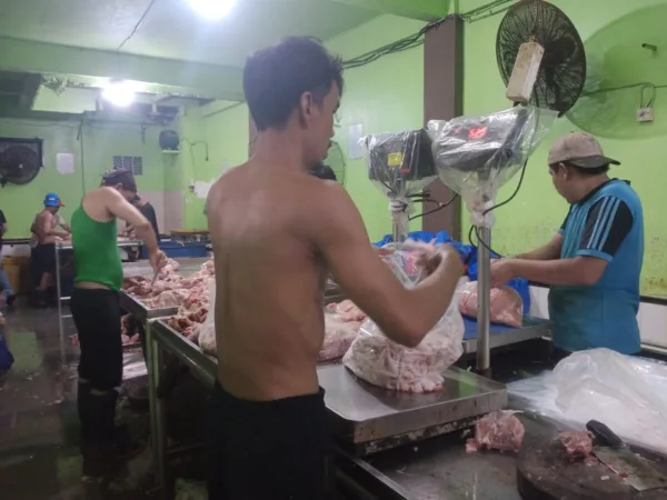 Alarm Keras dari Bekasi: RPA Siap Lumpuhkan Pasokan Ayam Jika Pemerintah Diam