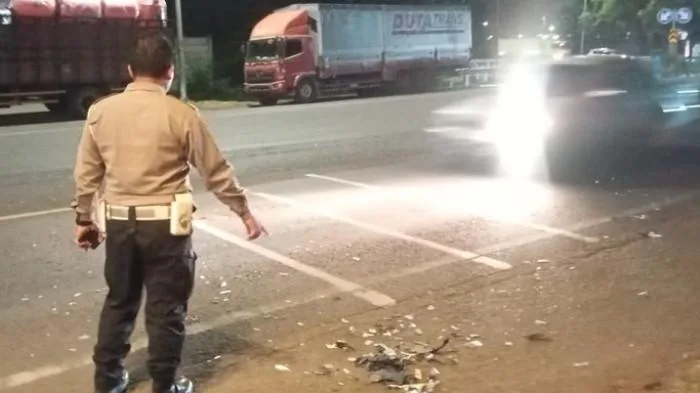 Adu Banteng di Jalur Cirebon–Kuningan, Mahasiswa Indramayu Tewas di Tempat