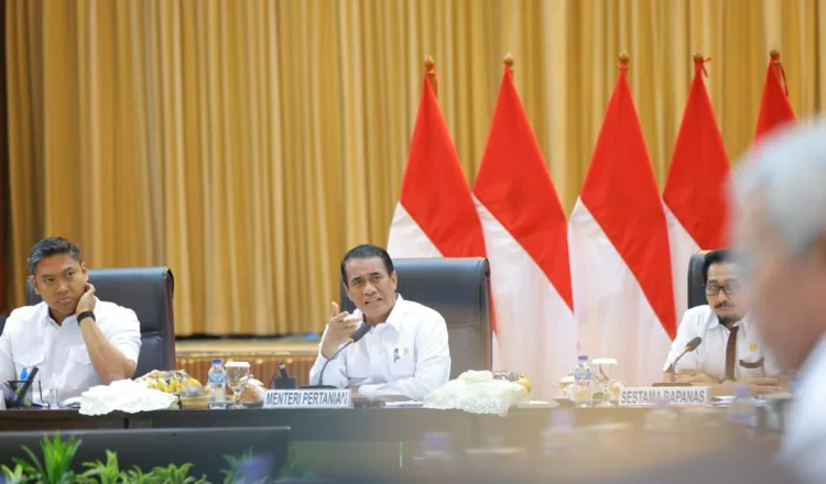 tengah isu kenaikan harga telur di sejumlah daerah, para peternak menegaskan bahwa tidak ada kenaikan harga di tingkat peternak