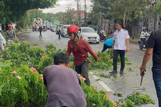 Kepemimpinan Lurah Bojong Menteng, Kodriana, S.Sos., M.Si, yang akrab disapa Bang Odie, mendapat apresiasi dari warga. Berbagai perubahan positif mulai dirasakan masyarakat, mulai dari penataan lingkungan hingga perhatian terhadap kondisi sosial dan ekonomi warga. Kamis (1/1/2026).