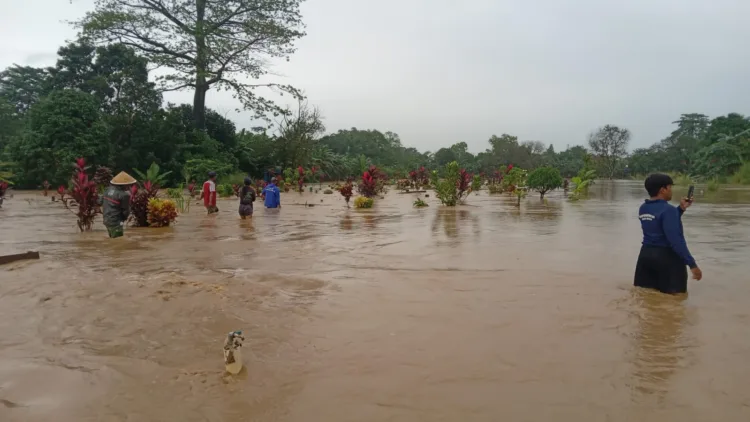 Tingginya intensitas curah hujan yang terjadi sejak Kamis (29/1/2026) mengakibatkan peningkatan signifikan debit Sungai Cileungsi dan Sungai Cikeas.