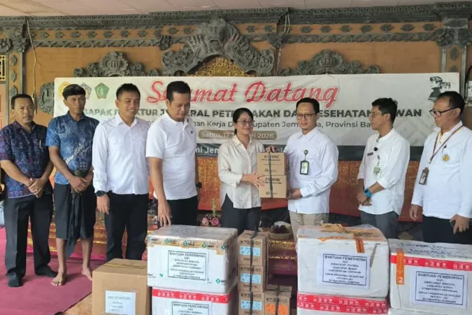 Kementan Salurkan 400 Dosis Vaksin Darurat untuk Cegah LSD pada Sapi di Jembrana