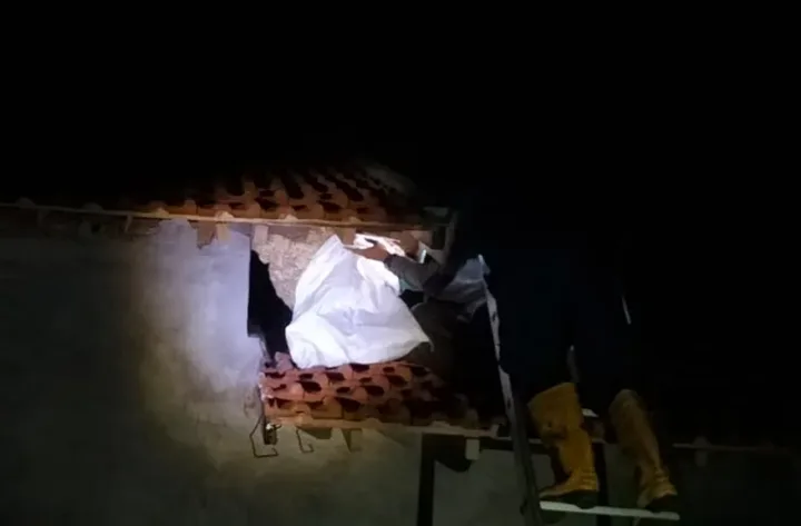 Damkar Pasuruan Singkirkan Sarang Tawon Vespa Berdiameter 50 Centimeter di Atap Rumah 2 Damkar Pasuruan Singkirkan Sarang Tawon Vespa Berdiameter 50 Centimeter di Atap Rumah