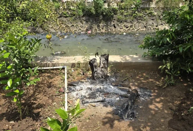 Upaya penghijauan yang dilakukan warga di tengah padatnya kawasan permukiman berujung kekecewaan. Sejumlah pohon yang selama ini dirawat dengan penuh kepedulian justru dimusnahkan secara sepihak tanpa pemberitahuan maupun musyawarah.