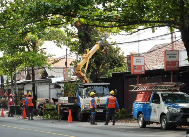 PLN pembersihan di Jalan Raya (BM)