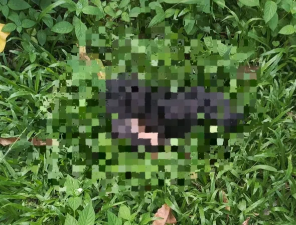 Warga RT 06 RW 03, Kelurahan Jatibening Baru, Kecamatan Pondok Gede, Kota Bekasi digegerkan dengan penemuan sesosok bayi dalam kondisi meninggal dunia, Senin (20/4/2026).