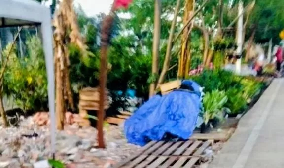 Pemerintah Kota Administrasi Jakarta Utara akan menertibkan sejumlah lapak pedagang tanaman hias ilegal yang berada di sepanjang Jalan Utama Danau Bisma, Kelurahan Papanggo, tepat di sisi Jakarta International Stadium (JIS). Kamis (30/4/2026).