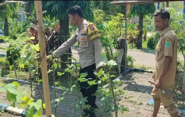 Babinkamtibmas dan Staf Kelurahan cek Lahan ketahanan pangan (hms)