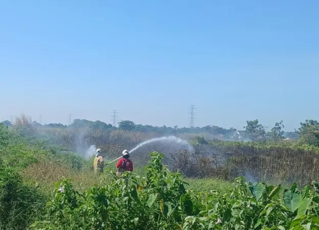 Ada Sebanyak 75 Insiden Kebakaran di Kabupaten Pasuruan Hingga Juli 2026, Kabid: Mayorita Kebakaran Lahan Terbuka