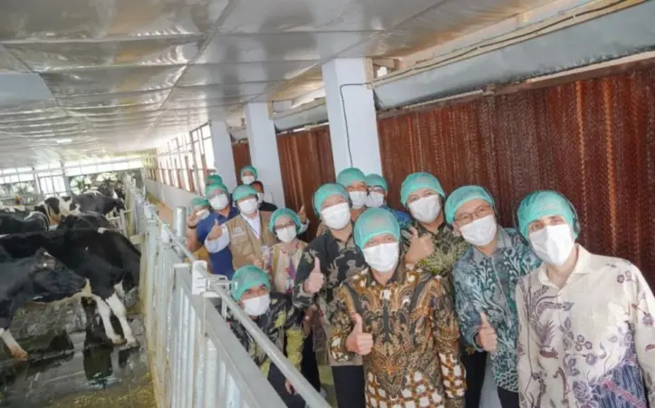 Wamenko Pangan Apresiasi Inovasi Kandang Closed Barn di Pasuruan, Dongkrak Produksi Susu Lokal Naik