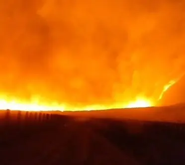 Kebakaran Hutan di Gunung Bromo Meluas, Kawasan Wisata Ditutup Total Mulai 8 Agustus 2026