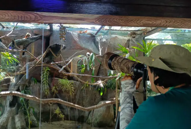 Salah satu peserta Lomba Foto saat memotret satwa di TSI Prigen (BM)