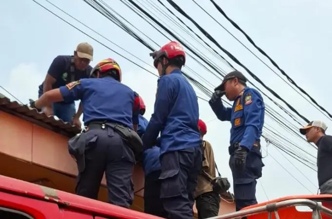 Petugas Dinas Pemadam Kebakaran dan Penyelamatan (Disdamkarmat) Kota Bekasi berhasil melakukan evakuasi terhadap seorang warga yang terjatuh di atap rumah di Jalan Setia 1Q, RT 006/RW 008, Kelurahan Jaticempaka, Kecamatan Pondokgede, Jumat (30/10/2026).
